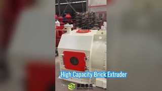 Double Stage Vacuum Extruder
