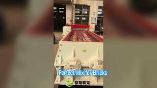 Double shaft Mixer